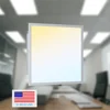 White-Stock in US