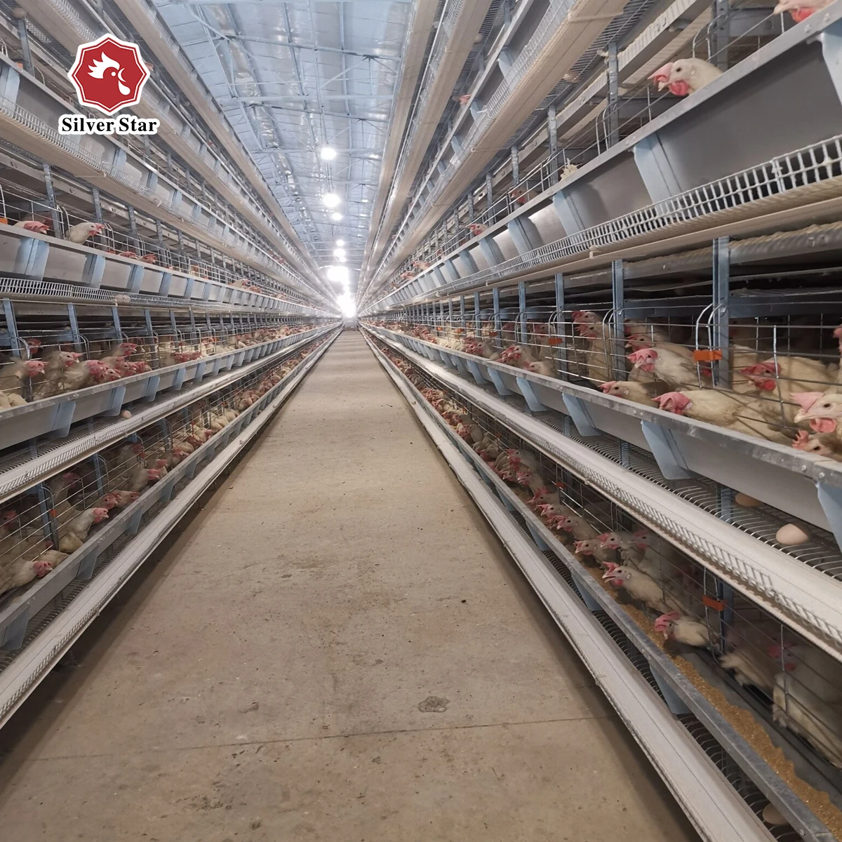 Оптовая продажа клетки для разведения кур слой клетка