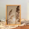 Madera