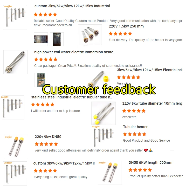 Electric Resistance 300w 12v 24v 48v Dc Immersion Heating Elements Water Heater Tubular Heater