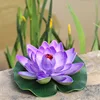 Purple-red Eva lotus flower [Leaves approximately 18cm]