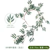 Salice a cinque foglie, bianco-grigiastro