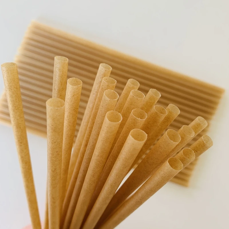 Biodegradable Straw Agave Sugarcane Bagasse Eco Friendly Disposable