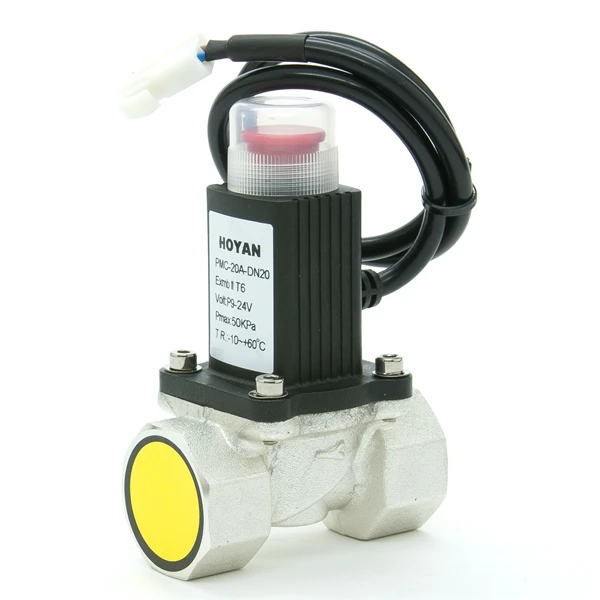 Home Security Alarm System Alarming Leak Gas LPG Natural Gas Emergency Shut Off Solenoid Valve