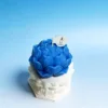 Bleu (lavande)
