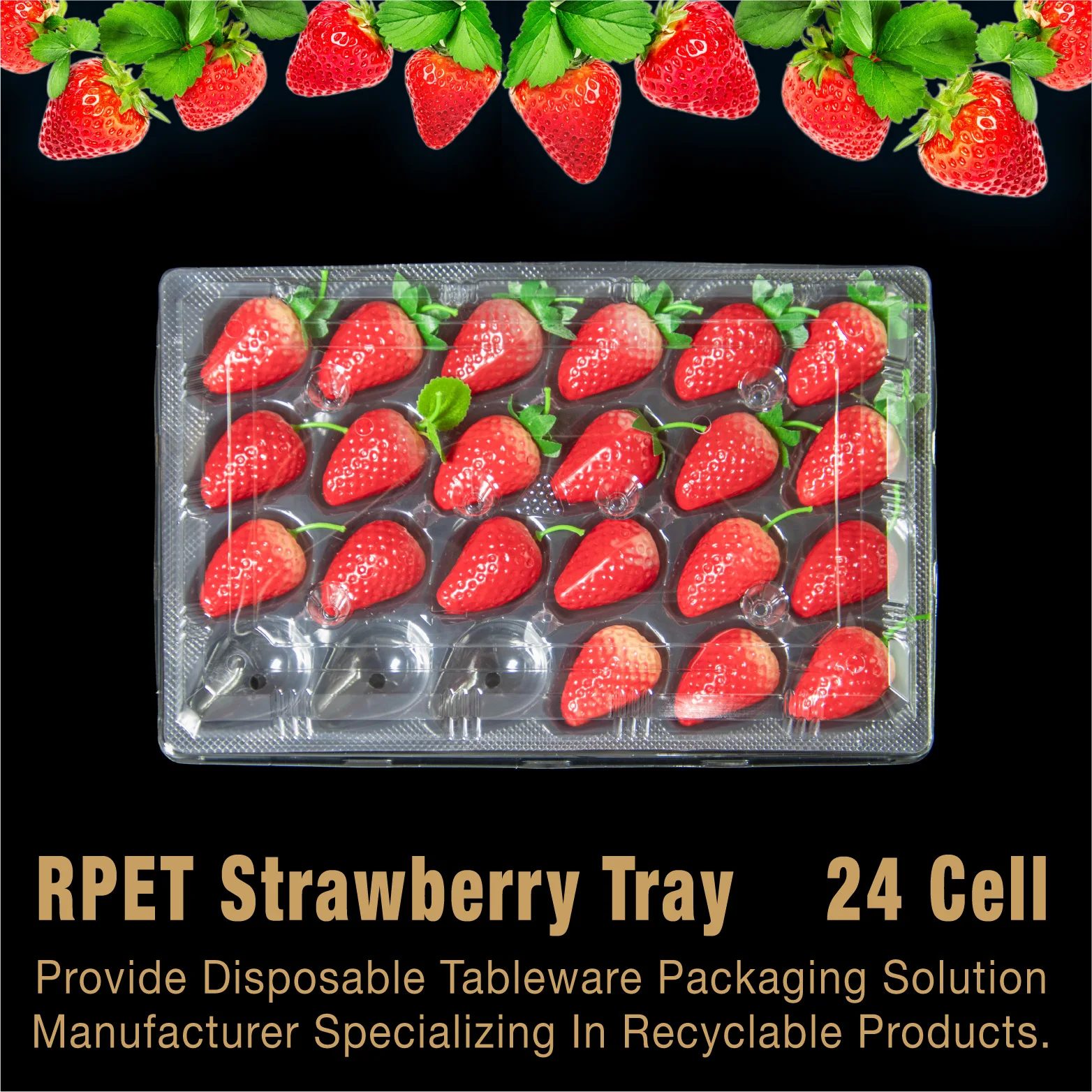 Professional Customizable Plastic Tray Recyclable Strawberry Printed Packaging Box