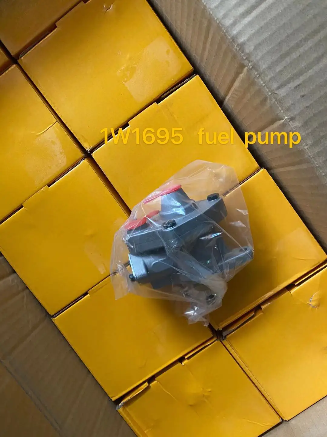 1W1695.jpg