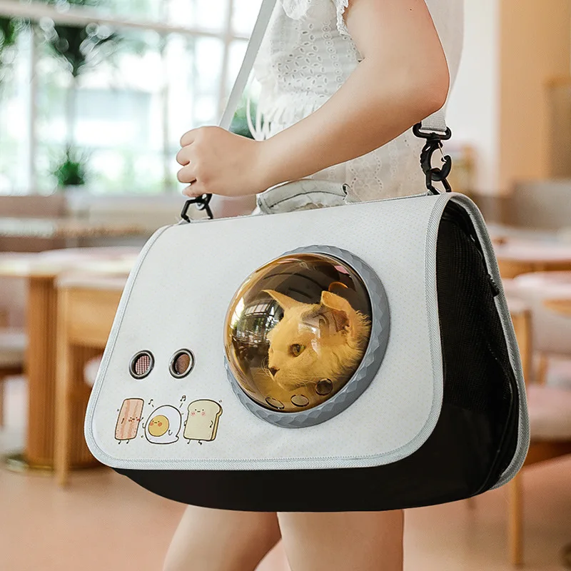 Factory Direct Portable Cages Capsule Cages for Pets Foldable Bag Outdoor Backpack Cartoon Cat Dog Bag