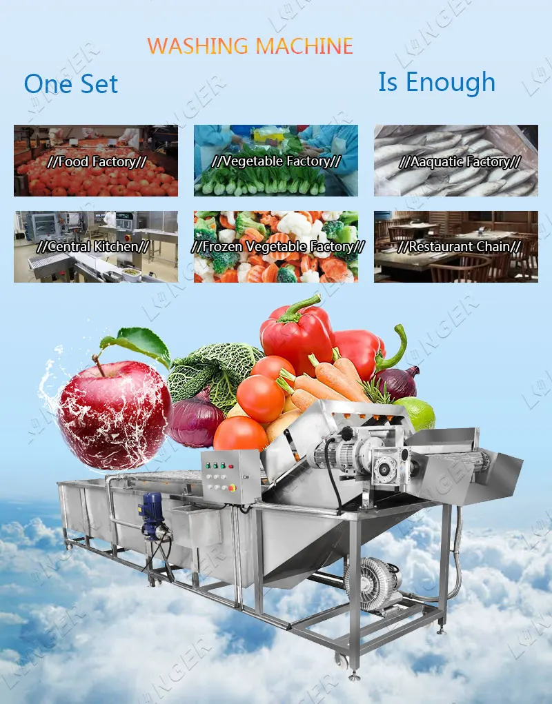Industrial Fruit and Vegetable Washing Machine Dates Cleaning Machine for the Dates Cleaning