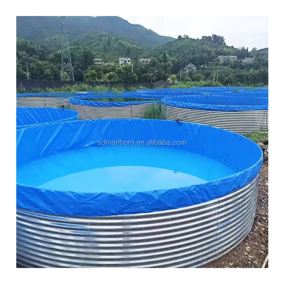 Recirculating Aquaculture System RAS for Fish Aquaculture Equipment  Tilapia Breeding Equipment