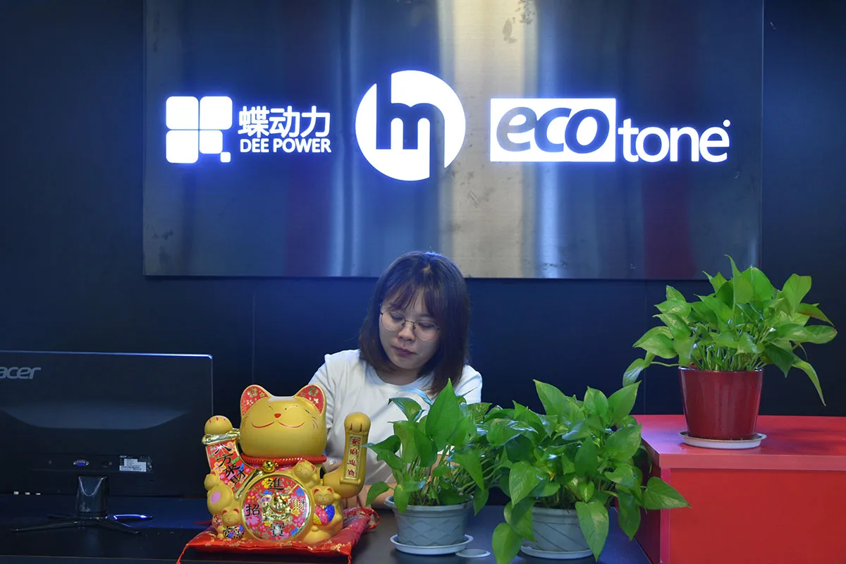 Shenzhen Diedongli Technology Co., Ltd. 1