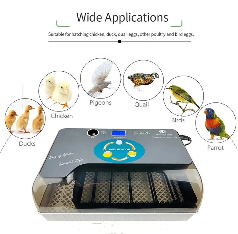 Snail Farming Automatic Chicken Duck Bird Egg Parrot Incubators ...