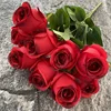 Rosso scuro