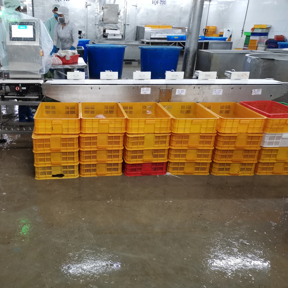 Online Auto Weight Sorting Machine Food Conveyor for Fish