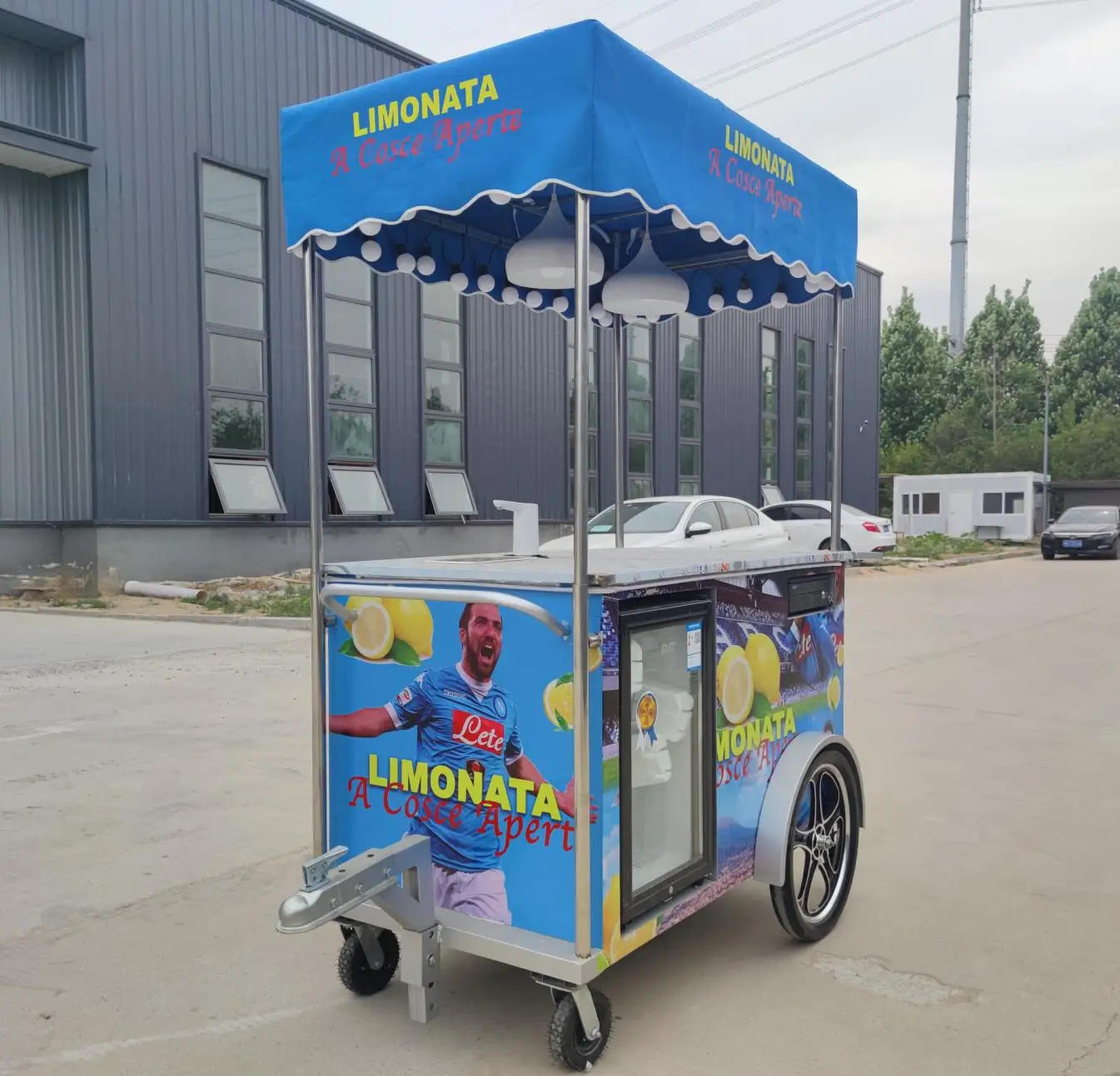 Street Electric Mini Food Cart - High Performance & Easy Operation