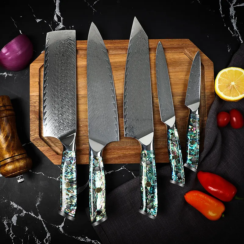 5piece Damascus Steel Kitchen Knife Set 67layer Japanese Vg10 Steel