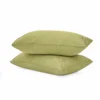 Avocado Green
