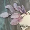 Xgm big pomelo leaves