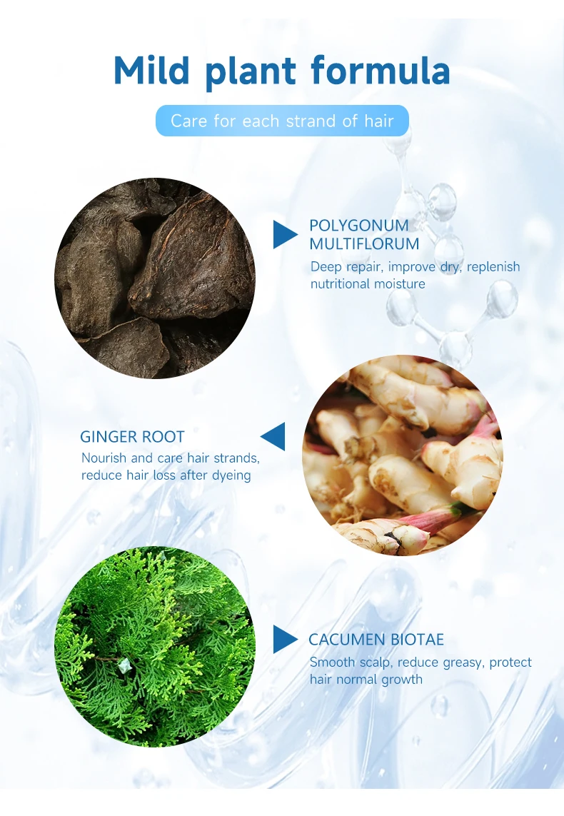 Low Price Hot Herbal Ingredients Permanent Hair Color Comb 400ml Does Not Hurt the Scalp for Multi-colored Hair