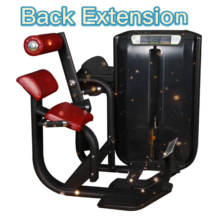 Lower Back And Abdominal Muscles Stretch Workout Gym Equipment Back