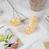 Turmeric branch