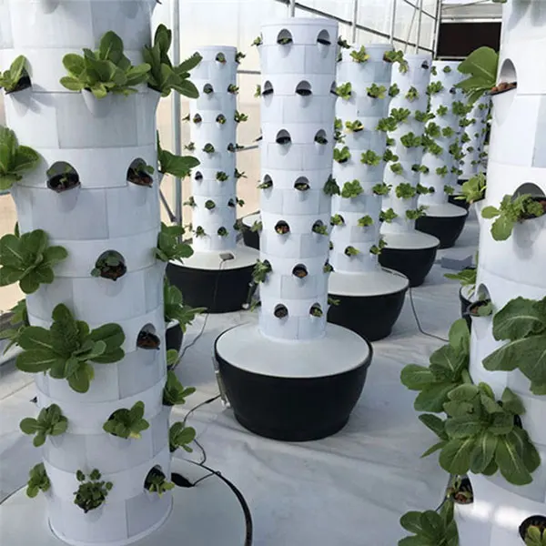 Lyine 2024 Indoor Soilless Agriculture Hidroponic System Agrotonomy ...