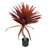 Agave Rojo Grande 80cm