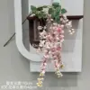 Árbol de la lluvia dorada de 6 bifurcaciones.