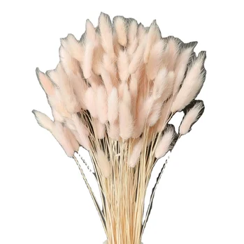 50 Brins Herbe Pampa Séchée | Queue De Lapin Rose Clair | 50 Cm | Décoration Intérieure Naturelle