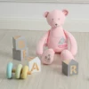 Bear Pink 35cm