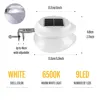 White white