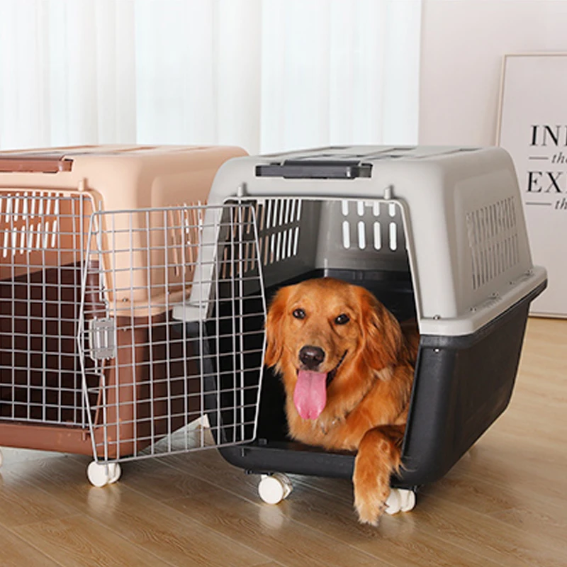 Company Overview Tangshan Xinshuo Pet Supplies Co., Ltd.