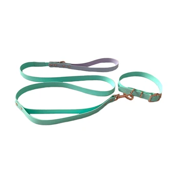 Strong Durable New Design Vegan Odor Proof Waterproof PVC Coated Webbing Dog Lead and Collar