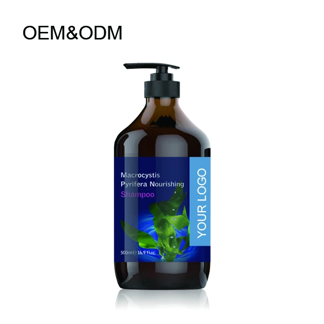 MOQ 24 OEM Macrocystis pyrifera nourishing OEM shampoo