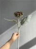 #5 sunflowers