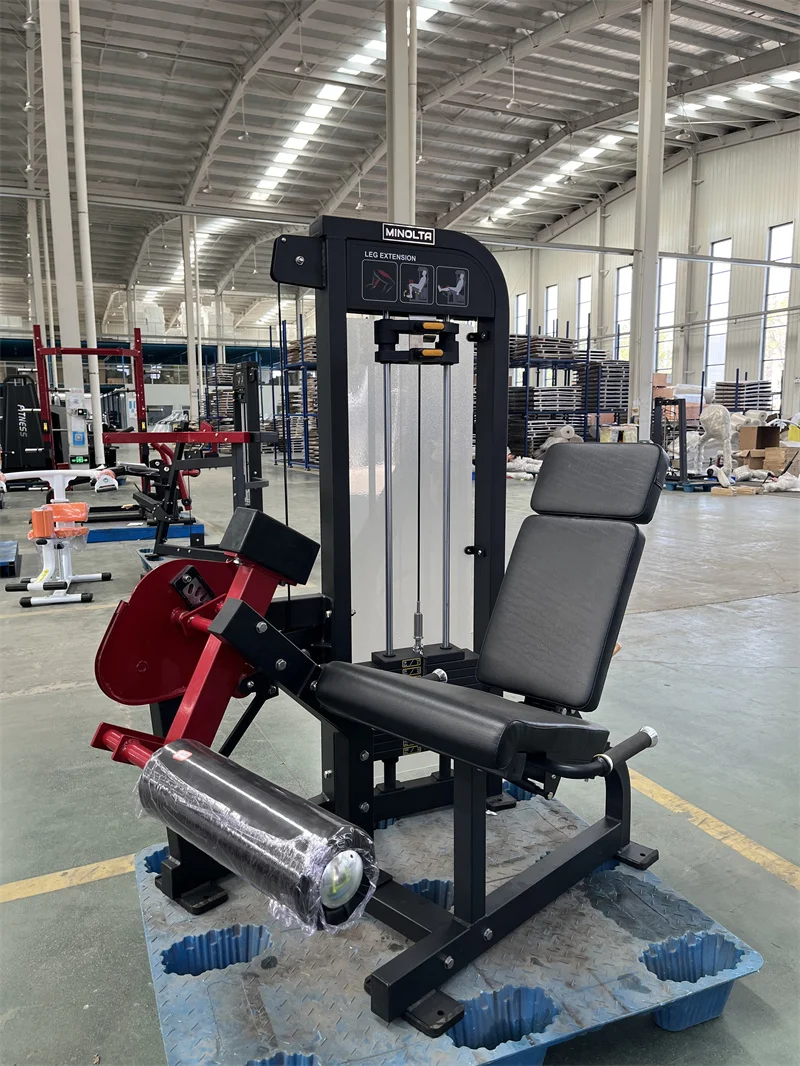 Selectorized Machine MND FM87 Commercial Gym Fitness Equipment Seated Leg  Curl Leg Extension Functions in Machine for Sale