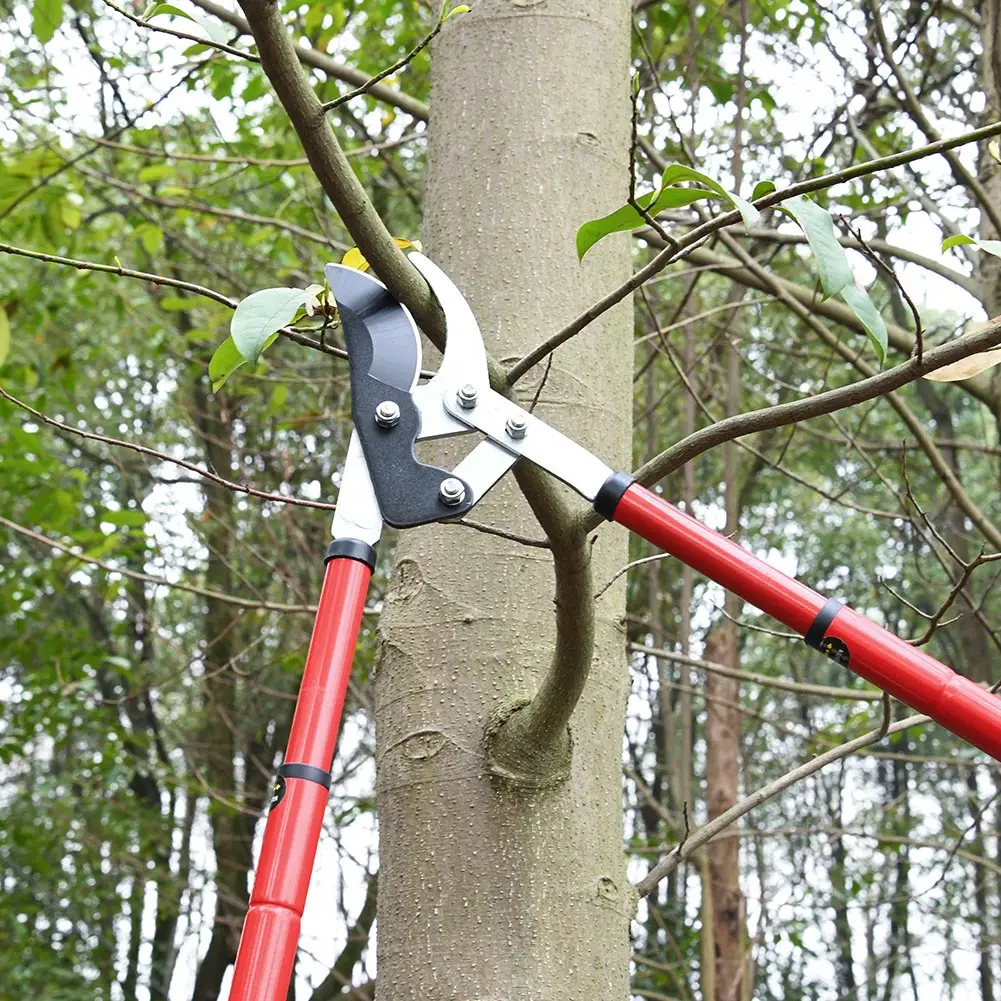 Adjustable Garden Cutting Tools Long Reach Telescopic Bypass Loppers