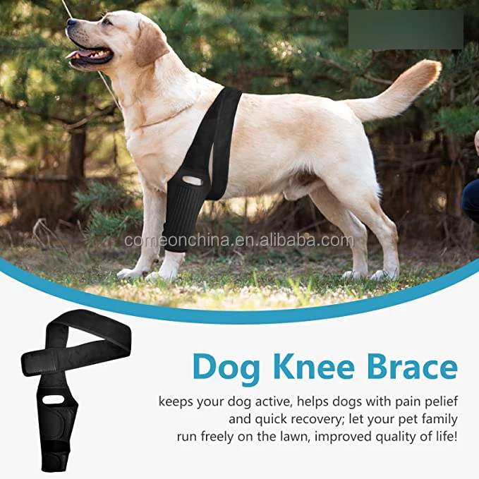 Dog Knee Brace for ACL with 10 Side Stabilizers Support Dog Leg Brace for Back Legs Cap Recovery Sleeve Pet Dog Knee Brace