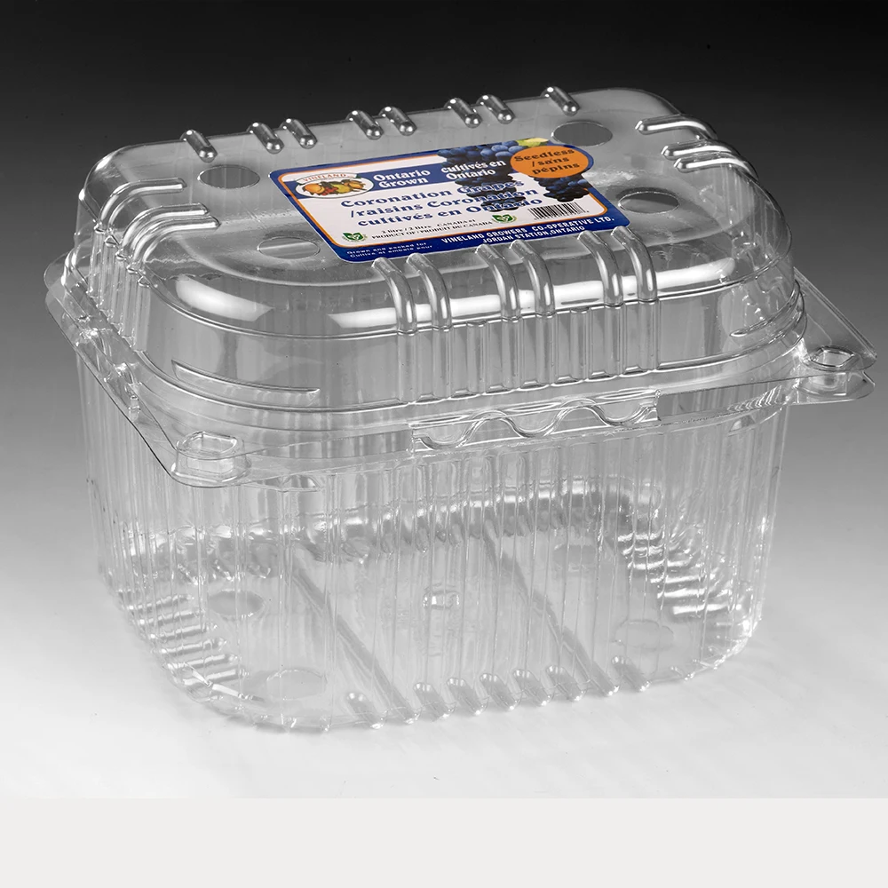 Square Shape Design Disposable Plastic Box Fruit Salad Packaging With Handle Dry Fruits Box Packaging Dried Fruit Box