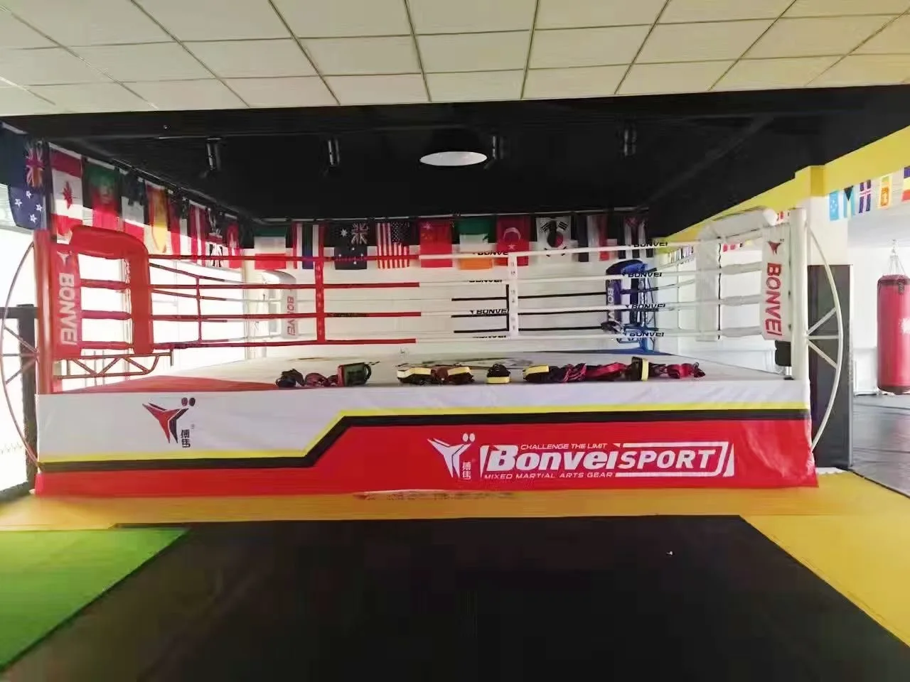 Competition Events Custom Design Martial Arts Boxing Ring for Sale
