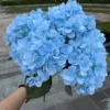สีฟ้า