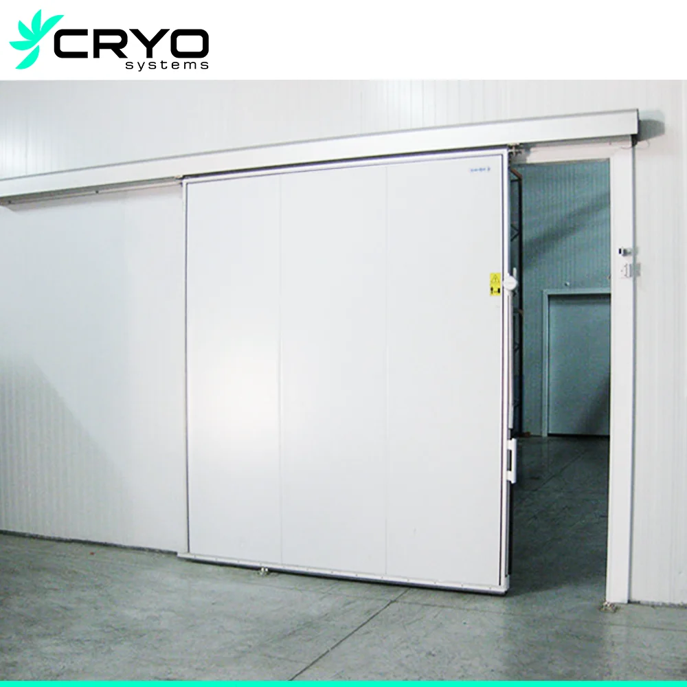 Commercial Cold Room of 40 M3 for Massive Cold Storage Requirements Cold Room