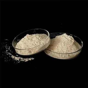 High Bulk Density Good Price Dead Burnt Magnesite Plant 98%Mgo for Fireproofing