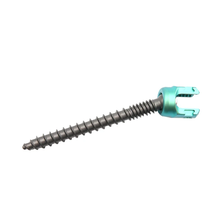 Pedicle Screw 1