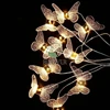 C 10-head acrylic starry butterfly warm light