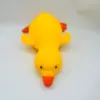 Pato