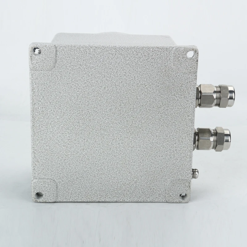 Hazardous Area Stainless Steel Terminal Box Explosion-proof Junction Box Exd IIC