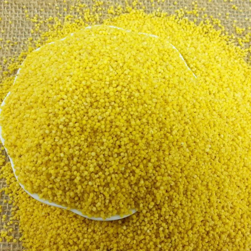 2023 Hot Selling Small Scale 5TPD Millet Processing Machinery