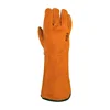 Yellow / Orange