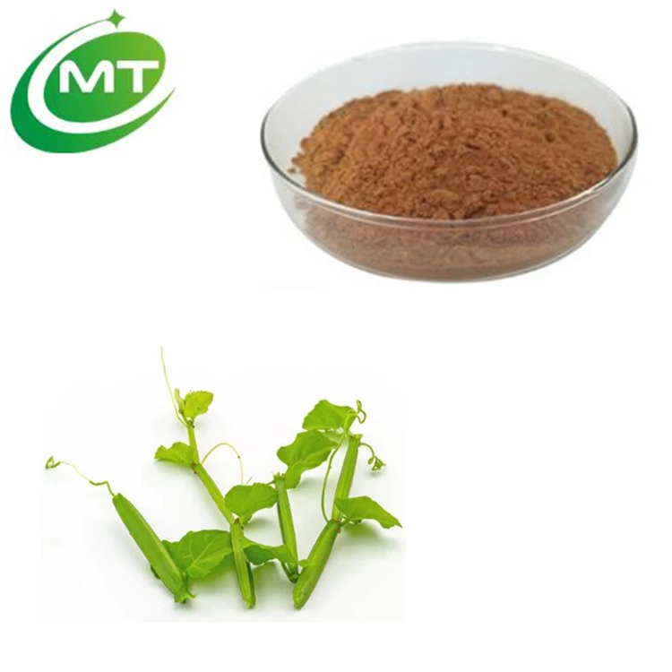 Высококачественный травяной порошок циссуса четырехугольного, органический экстракт циссуса четырехугольного